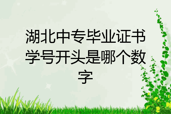 湖北中专毕业证书学号开头是哪个数字