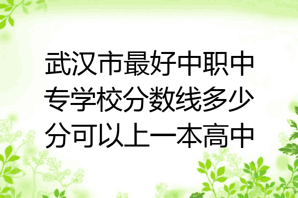武汉市最好中职中专学校分数线多少分可以上一本高中