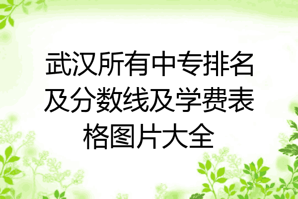 武汉所有中专排名及分数线及学费表格图片大全