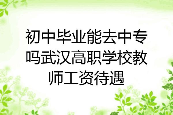初中毕业能去中专吗武汉高职学校教师工资待遇