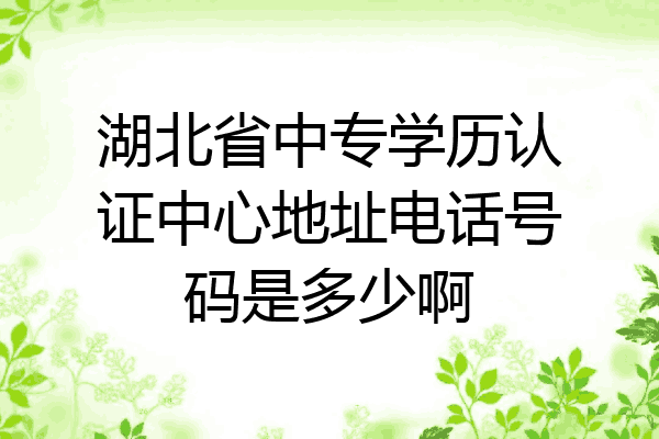 湖北省中专学历认证中心地址电话号码是多少啊