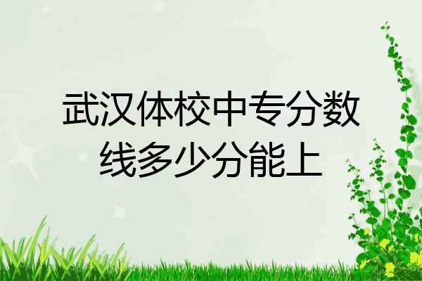 武汉体校中专分数线多少分能上