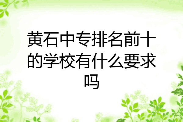 黄石中专排名前十的学校有什么要求吗