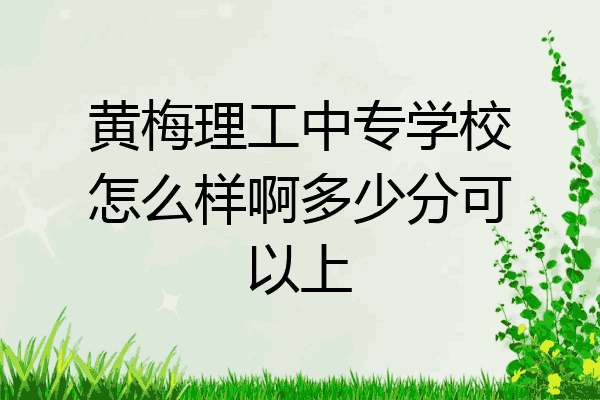 黄梅理工中专学校怎么样啊多少分可以上