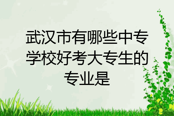 武汉市有哪些中专学校好考大专生的专业是