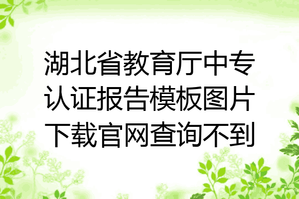 湖北省教育厅中专认证报告模板图片下载官网查询不到