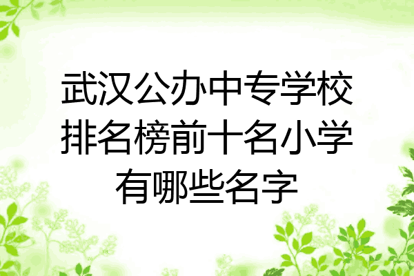 武汉公办中专学校排名榜前十名小学有哪些名字
