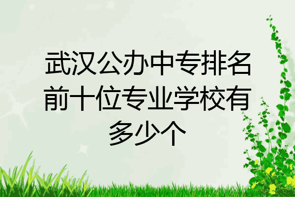 武汉公办中专排名前十位专业学校有多少个
