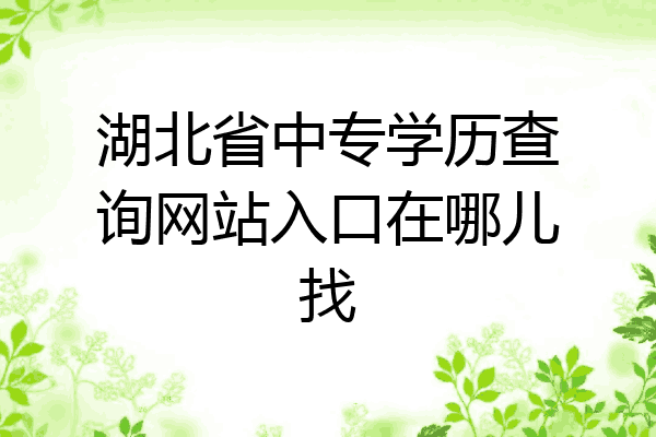 湖北省中专学历查询网站入口在哪儿找