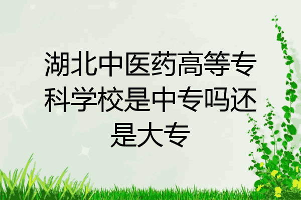 湖北中医药高等专科学校是中专吗还是大专