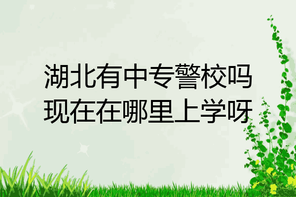 湖北有中专警校吗现在在哪里上学呀