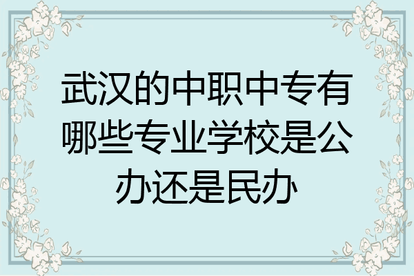 武汉的中职中专有哪些专业学校是公办还是民办