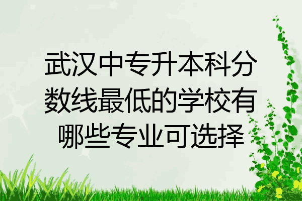 武汉中专升本科分数线最低的学校有哪些专业可选择