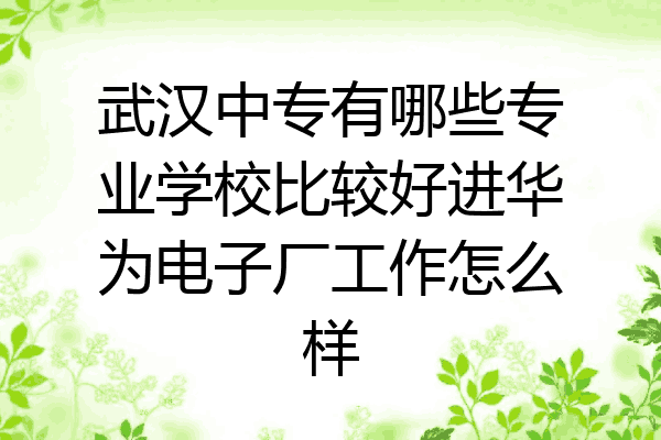 武汉中专有哪些专业学校比较好进华为电子厂工作怎么样