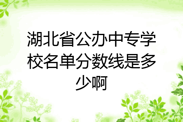 湖北省公办中专学校名单分数线是多少啊