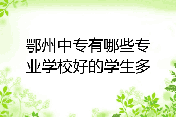 鄂州中专有哪些专业学校好的学生多