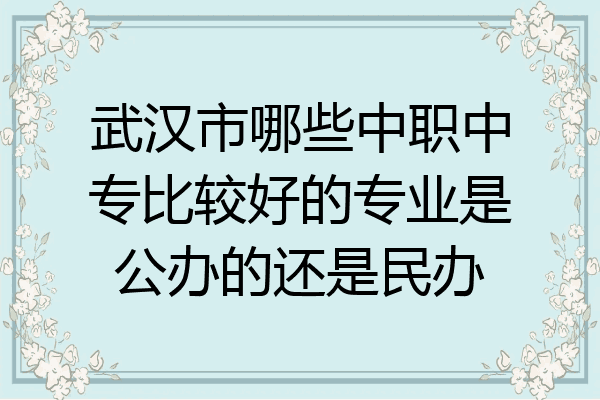 武汉市哪些中职中专比较好的专业是公办的还是民办