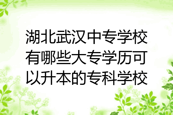 湖北武汉中专学校有哪些大专学历可以升本的专科学校
