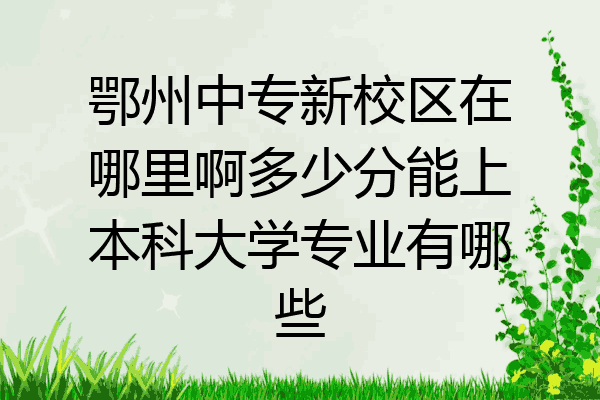 鄂州中专新校区在哪里啊多少分能上本科大学专业有哪些