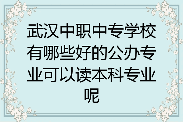 武汉中职中专学校有哪些好的公办专业可以读本科专业呢