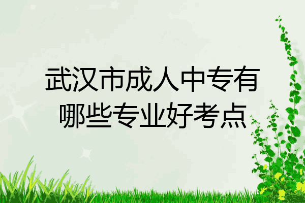 武汉市成人中专有哪些专业好考点