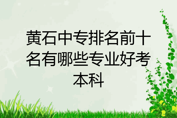 黄石中专排名前十名有哪些专业好考本科