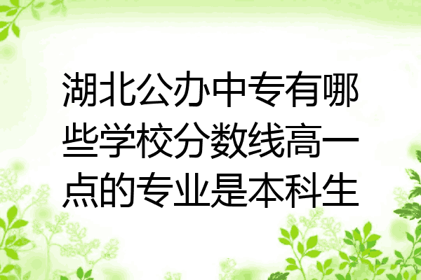 湖北公办中专有哪些学校分数线高一点的专业是本科生