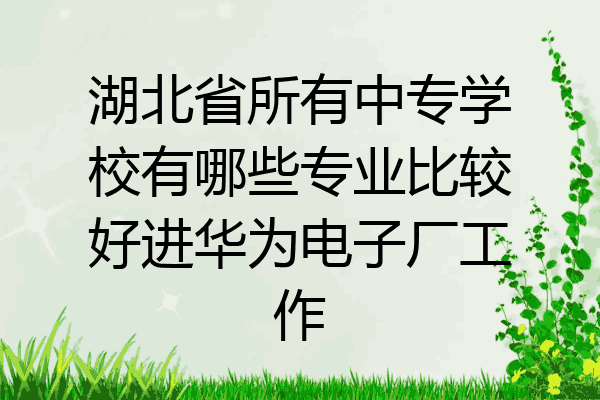 湖北省所有中专学校有哪些专业比较好进华为电子厂工作