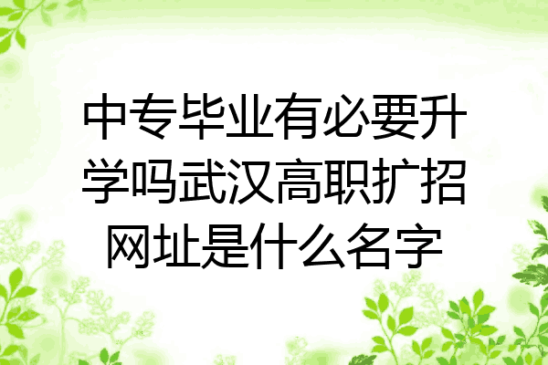 中专毕业有必要升学吗武汉高职扩招网址是什么名字