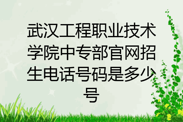 武汉工程职业技术学院中专部官网招生电话号码是多少号
