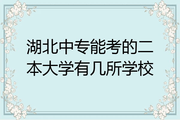 湖北中专能考的二本大学有几所学校