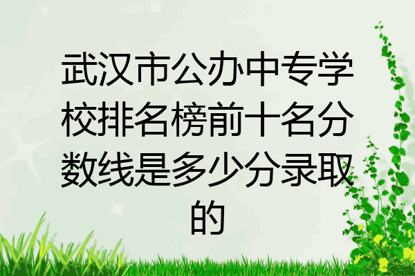 武汉市公办中专学校排名榜前十名分数线是多少分录取的