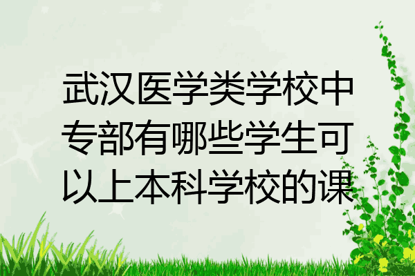 武汉医学类学校中专部有哪些学生可以上本科学校的课