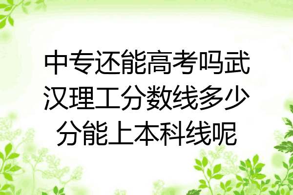 中专还能高考吗武汉理工分数线多少分能上本科线呢
