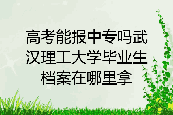 高考能报中专吗武汉理工大学毕业生档案在哪里拿