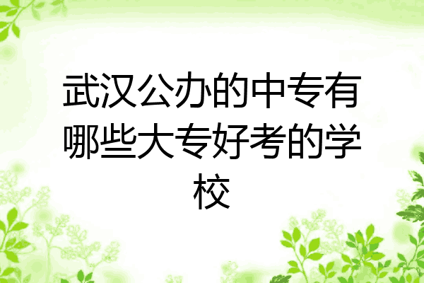 武汉公办的中专有哪些大专好考的学校