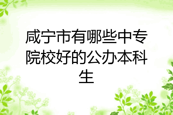 咸宁市有哪些中专院校好的公办本科生