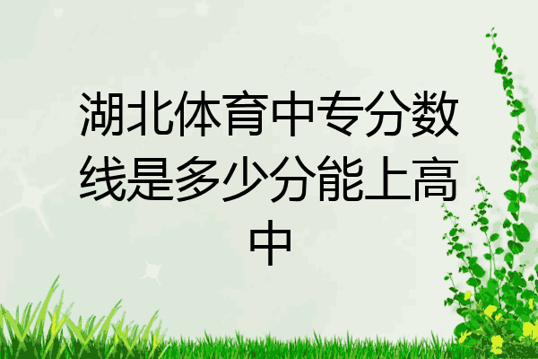 湖北体育中专分数线是多少分能上高中