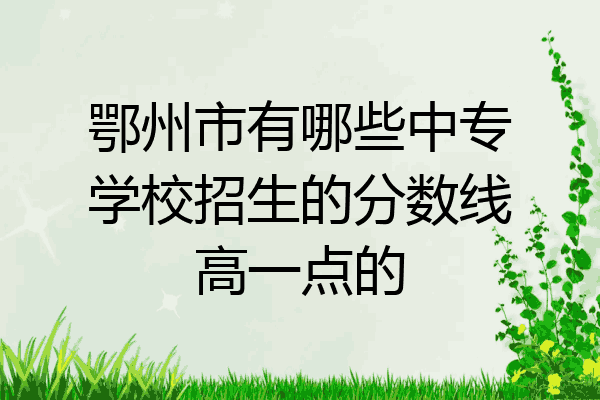 鄂州市有哪些中专学校招生的分数线高一点的