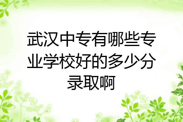 武汉中专有哪些专业学校好的多少分录取啊