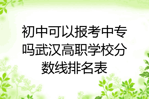 初中可以报考中专吗武汉高职学校分数线排名表