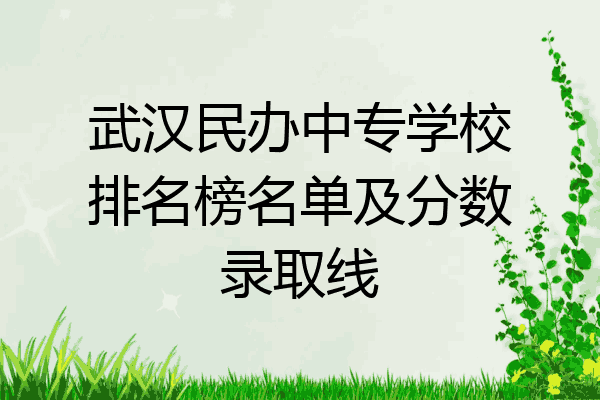 武汉民办中专学校排名榜名单及分数录取线