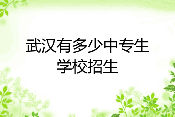 武汉有多少中专生学校招生