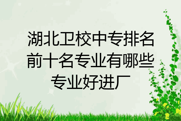 湖北卫校中专排名前十名专业有哪些专业好进厂