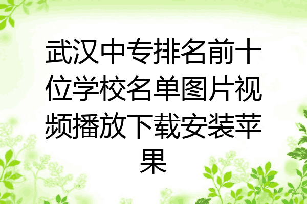 武汉中专排名前十位学校名单图片视频播放下载安装苹果