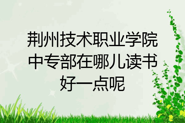 荆州技术职业学院中专部在哪儿读书好一点呢