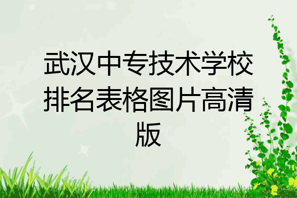 武汉中专技术学校排名表格图片高清版