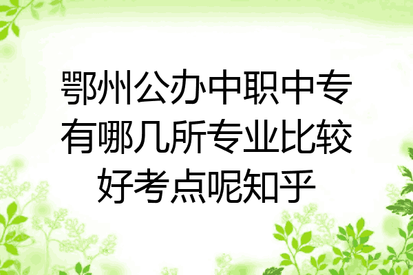 鄂州公办中职中专有哪几所专业比较好考点呢知乎