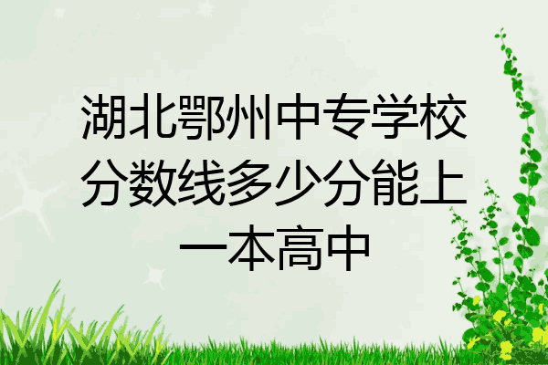 湖北鄂州中专学校分数线多少分能上一本高中