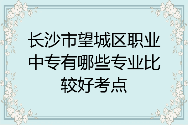 长沙市望城区职业中专有哪些专业比较好考点